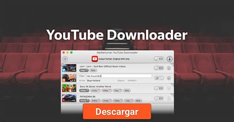 Convierta y descargue videos de Youtube a MP3, MP4, 3GP gratis con nuestro descargador de Youtube. La descarga es muy rápida y sencilla, solo espere unos segundos hasta que el archivo esté listo en su dispositivo. 